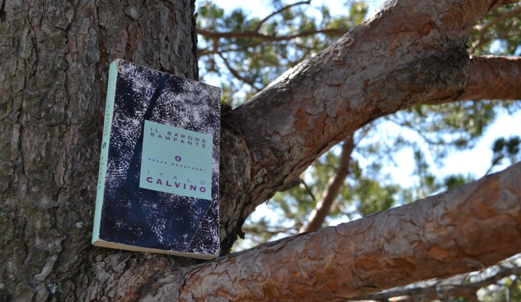 Libri italiani livello intermedio-Il barone rampante di Calvino